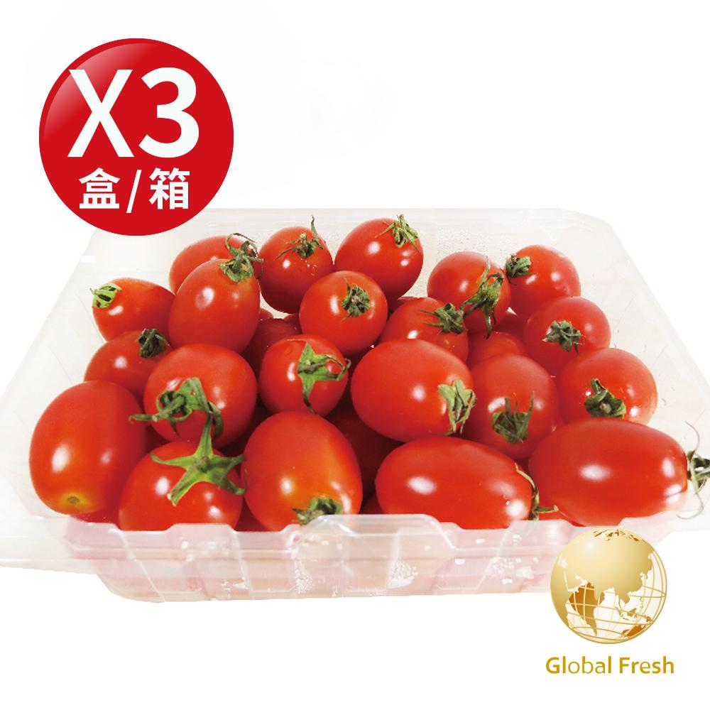 【盛花園蔬果】嘉義聖女蕃茄600g x3盒(高CP值_四季水果)