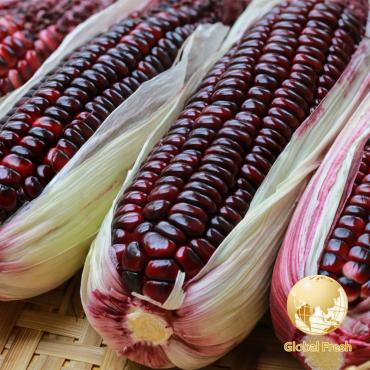 【盛花園蔬果】台南佳里黑蜜水果玉米1kg x1袋(約3-4支/袋)(非基因改造)