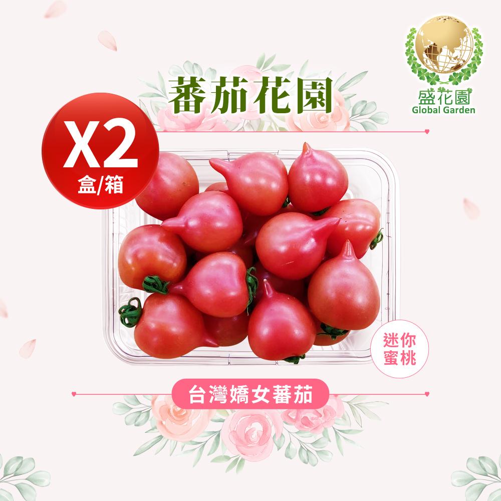 【盛花園蔬果】台灣嬌女蕃茄600g x2盒(迷你蜜桃_甜美細膩)
