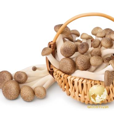 【盛花園蔬果】南投國姓鄉鴻喜菇120g x1包(溫控栽培_具蟹香風味)