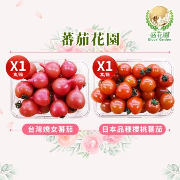 【盛花園蔬果】台灣嬌女蕃茄+日本種櫻桃蕃茄 600g x2盒