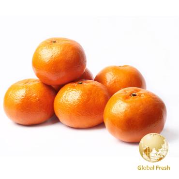 【盛花園蔬果】台中特選27A明正茂谷柑3kg x1箱（季節限定_現採直送）