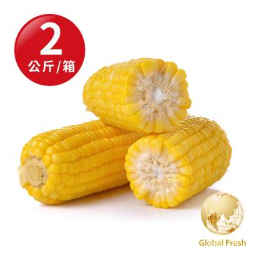 【盛花園蔬果】嘉義金蜜品種甜玉米2公斤 x1箱