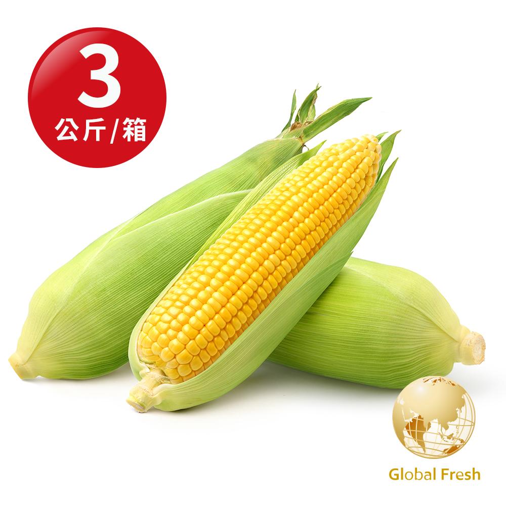 【盛花園蔬果】嘉義金蜜品種甜玉米3公斤 x1箱