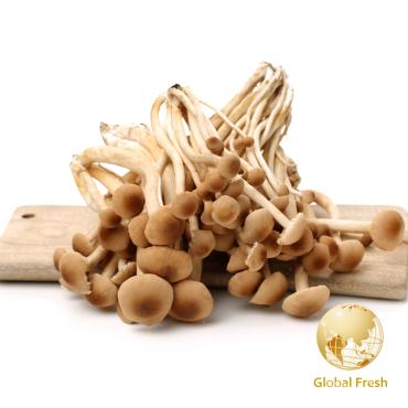 【盛花園蔬果】台中石岡柳松菇100g x1盒(溫控栽培_無汙染)