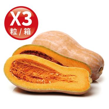 【盛花園蔬果】雲林木瓜形阿成南瓜800g x3粒(無農藥)