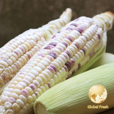 【盛花園蔬果】台南佳里糯玉米1kg x3袋(約12-15支/箱)(非基因改造)