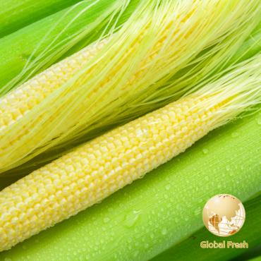 【盛花園蔬果】台南佳里帶殼玉米筍1kg x1箱(非基因改造)
