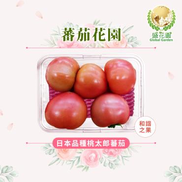 【盛花園蔬果】日本種桃太郎蕃茄600g x1盒(和諧之果_果肉厚實)
