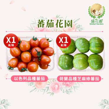【盛花園蔬果】以色列種蕃茄+荷蘭種芝麻綠蕃茄 600g x2盒