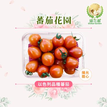 【盛花園蔬果】以色列種蕃茄600g x1盒(風味馥郁_現採直送)