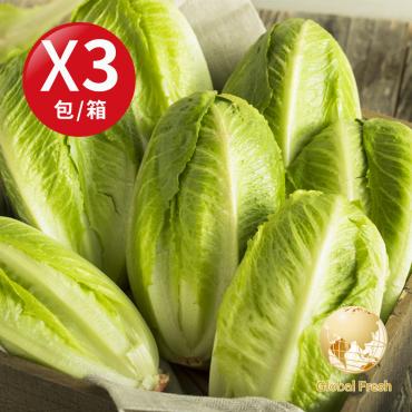 【盛花園蔬果】蘿蔓生菜400g±10% x3包(國產,進口產地隨機)