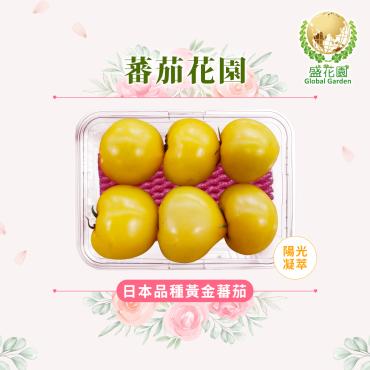 【盛花園蔬果】日本種黃金蕃茄600g x1盒(金黃透亮_現採直送)
