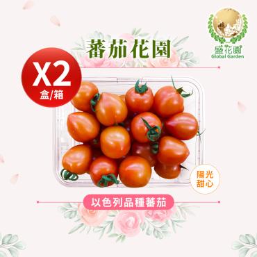 【盛花園蔬果】以色列種蕃茄600g x2盒(風味馥郁_現採直送)