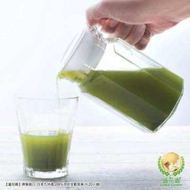 【盛花園】日本原裝羽衣甘藍青汁20入+抹茶葛粉3入養生組