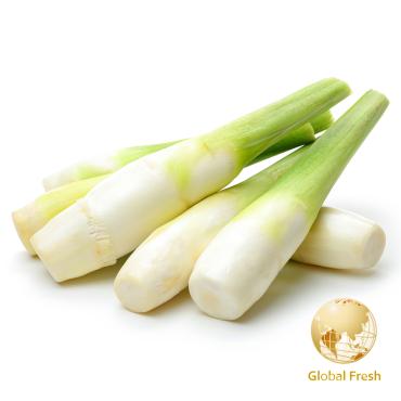 【盛花園蔬果】南投去殼茭白筍300g x2袋(水筍_現採直送)