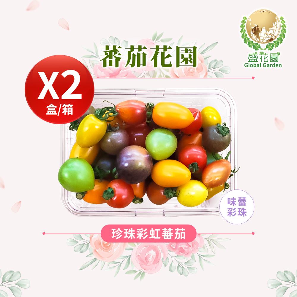 【盛花園蔬果】珍珠彩虹蕃茄600g x2盒(13種繽紛色澤珍稀品種)