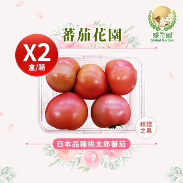 【盛花園蔬果】日本種桃太郎蕃茄600g x2盒(和諧之果_果肉厚實)