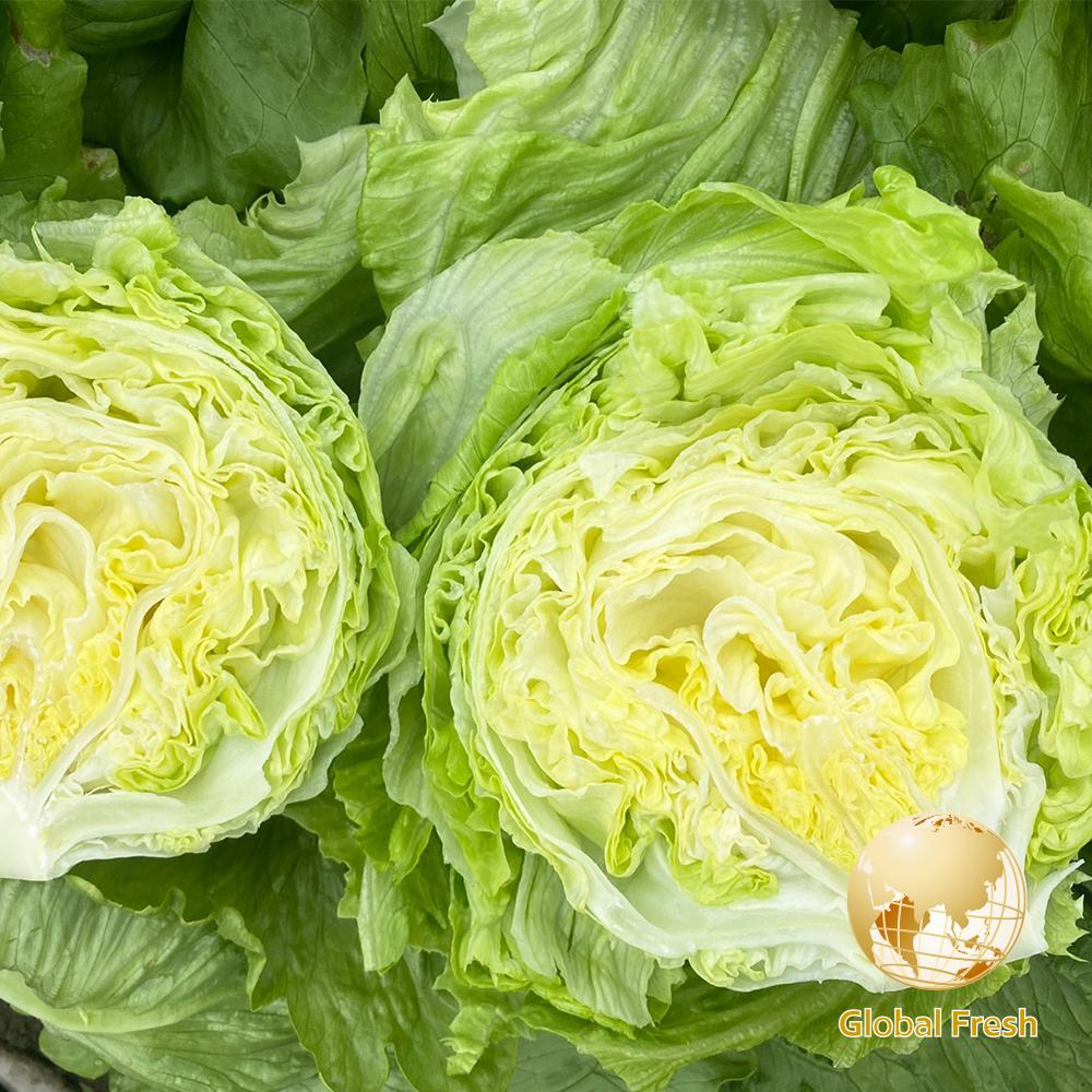 【盛花園蔬果】雲林結球萵苣美生菜300g±10%/粒(1粒/包)