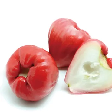 【盛花園蔬果】屏東特選黑珍珠蓮霧禮盒2kg x1盒（現採直送）