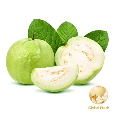 【盛花園蔬果】高雄燕巢珍珠芭樂1.2kg x1袋(國民水果_現採直送)