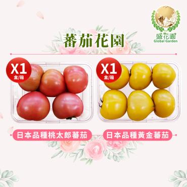 【盛花園蔬果】桃太郎蕃茄+黃金蕃茄600g x2盒(日本種_現採直送)