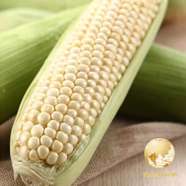 【盛花園蔬果】台南佳里水果玉米1kg x2袋(約10-12支/箱)(非基因改造_白色及金黃色隨機出貨)