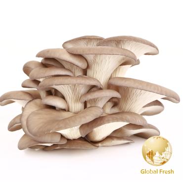 【盛花園蔬果】彰化特選秀珍菇150g x3盒(溫控環控栽培)