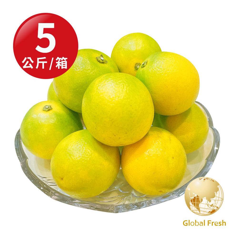 【盛花園蔬果】台灣特選23A柳丁5kg x1箱