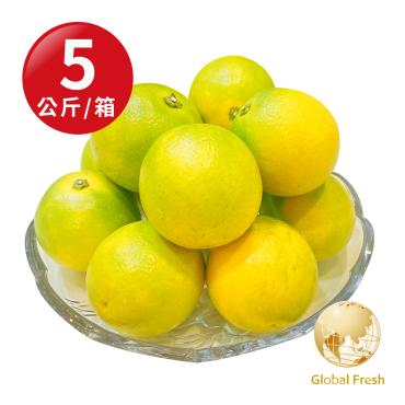 【盛花園蔬果】台灣特選23A柳丁5kg x1箱