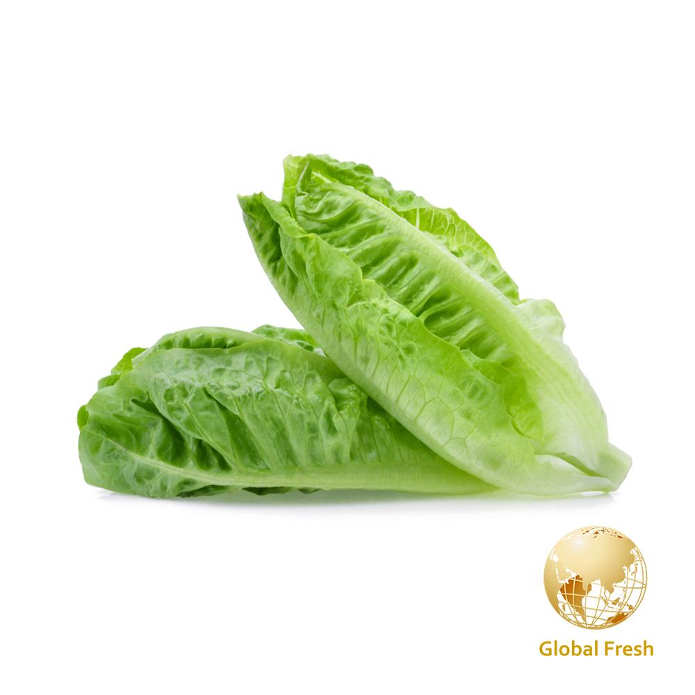 【盛花園蔬果】蘿蔓生菜400g±10% x1包(國產,進口產地隨機)