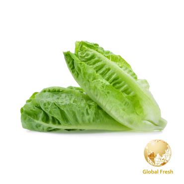 【盛花園蔬果】蘿蔓生菜400g±10% x1包(國產,進口產地隨機)