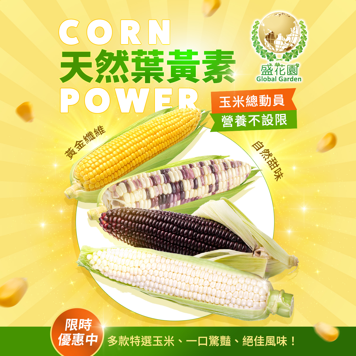 甜、Q、爆汁、濃香，玉米界的天菜大PK！ 四種精選頂級玉米 ﻿你喜歡甜嫩多汁，還是Q彈有嚼