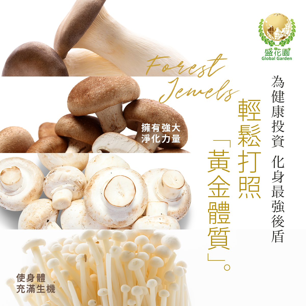 紅肉控必看！菇類美味新世界，健康升級無極限！
