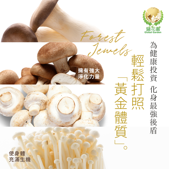 紅肉控必看!菇類美味新世界,健康升級無極限!