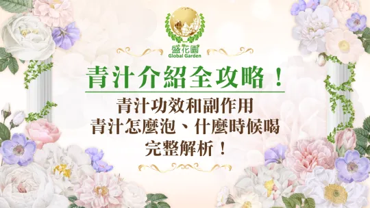 青汁的功效和副作用有哪些?青汁建議怎麼喝?什麼時候喝最佳?