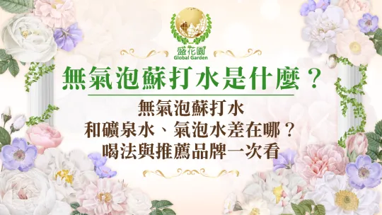 無氣泡蘇打水是什麼？和礦泉水、氣泡水差在哪？喝法與推薦品牌一次看