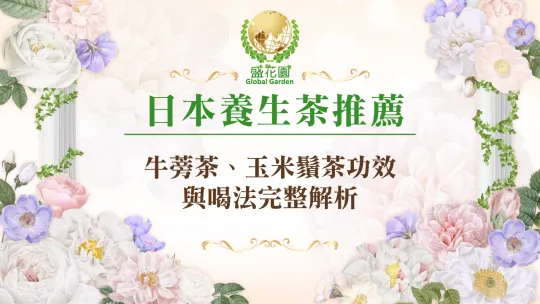 2026日本養生茶推薦：牛蒡茶、玉米鬚茶功效與喝法完整解析